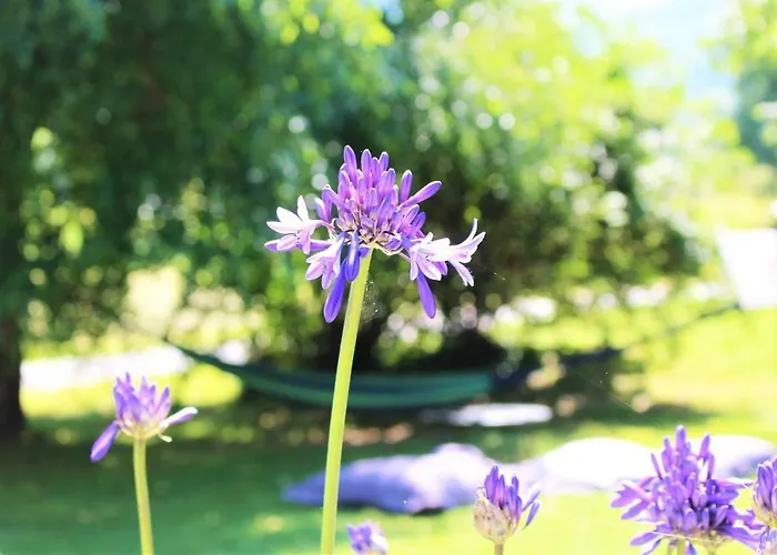 Hotel Le Permayou Accous